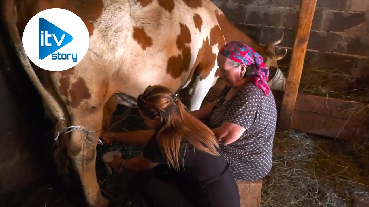 RODILA 16-TO DIJETE NA TREŠNJI U DIMIJE