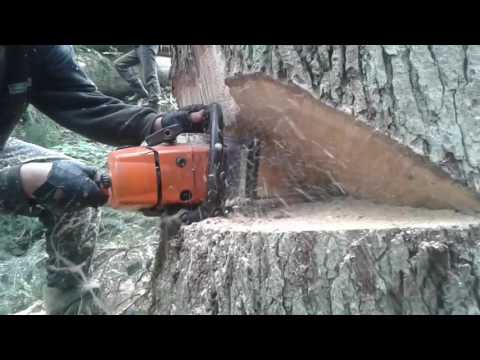 Валка лісу. Shtill 361