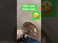 High speed bowl hollowing short