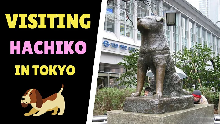 Hachiko Statue in Shibuya Scramble crossing Tokyo