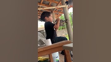 Thumbnail of ¡NIÑO de 3 años TOCA el FA en su Trompeta Pocket!