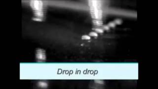 SQI Diagnostics Custom Plex Microarray Printing
