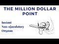 The Million Dollar Point - Instant Non ejaculatory Orgasm