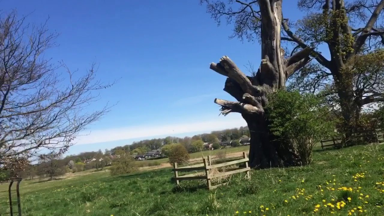 Country walk YouTube