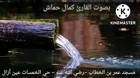 تلاوة عطرة بصوت القارئ كمال حماش