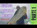 PESCARIA no MAR- DOURADOS - PREJEREBAS - ANCHOVAS ( PARTE 1 ) em PIÇARRAS - SC Loja UNIVERSO FISHING