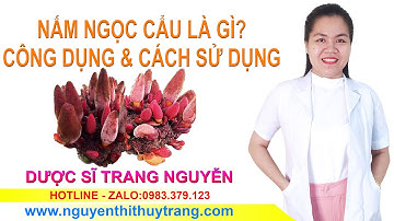 Nấm ngọc cẩu có tác dụng gì? Cách sử dụng thế nào?