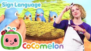 jj saves baby birds cocomelon asl sign language babies