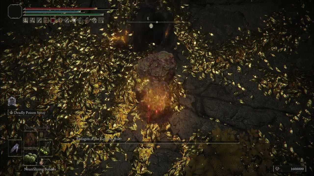 2 Shots Elden Beast - 1 Shot Radagon - Perfume bottle Build - DLC