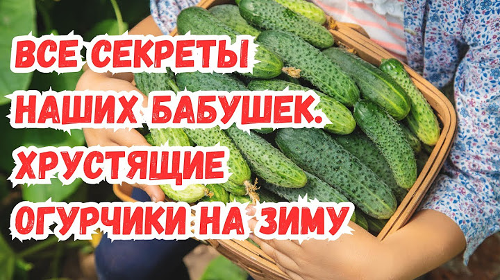 ALWAYS CRISPY CUCUMBERS for the WINTER. Secrets of our grandmothers.