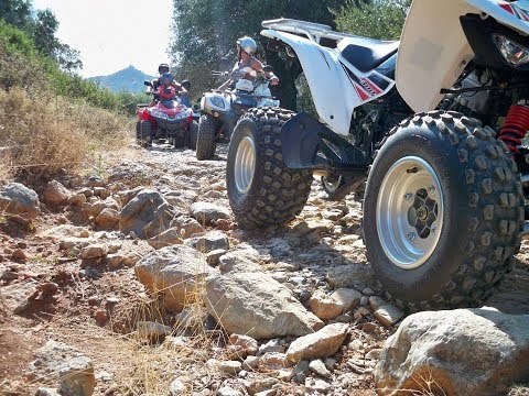 Greek Quad Safari