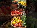 Late harvest season this year but oh so worth the wait #gardening
