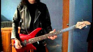 Video thumbnail of "Bizarre Love Triangle Bass Cover - New Order"