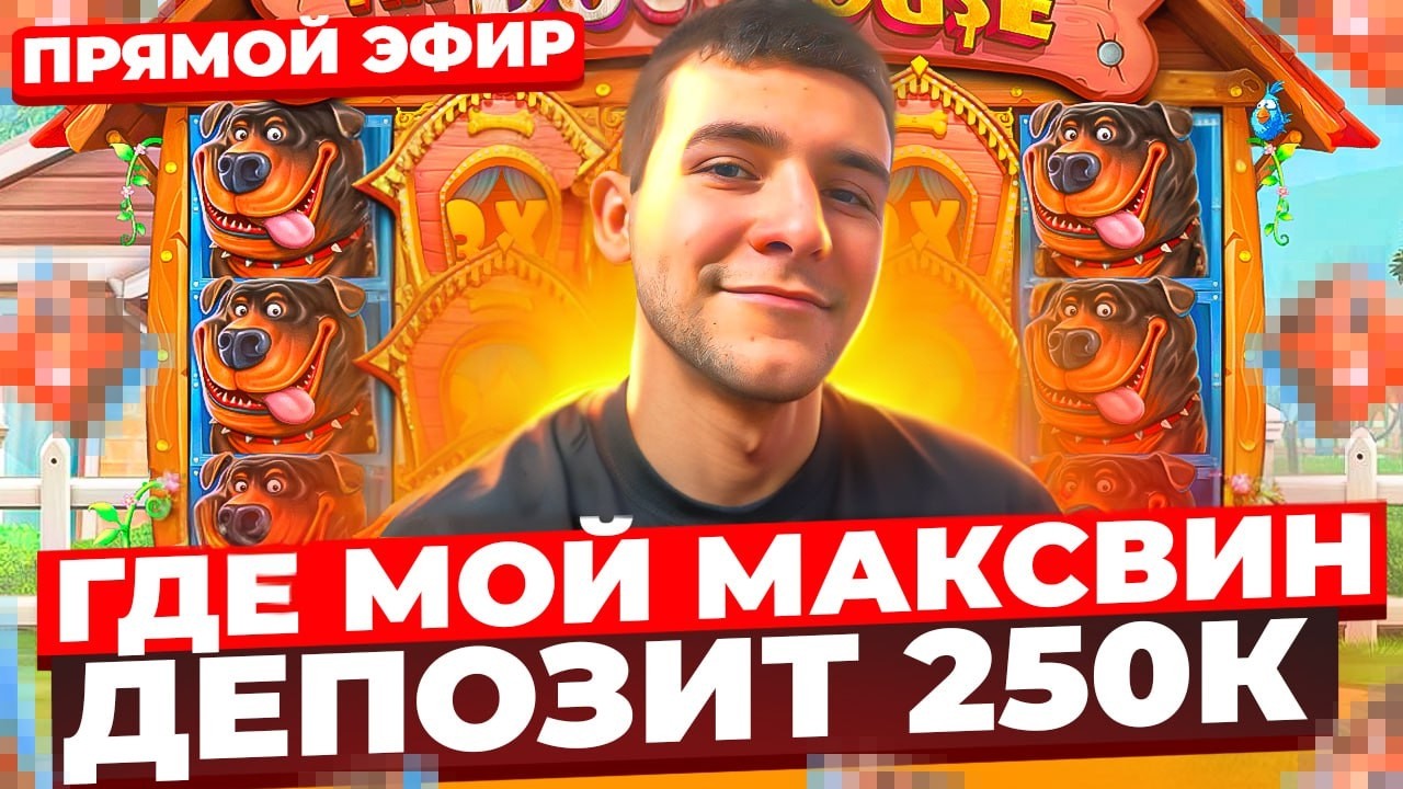 НОЧНАЯ ОХОТА НА ЗАНОСЫ В ПРЯМОМ ЭФИРЕ