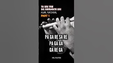 "Tu Hai To Dil Dhadakta Hai | Flute Tutorial Part 1 | Easy Flute Lesson 🎶✨ #Shorts"