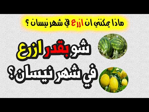 ماذا يمكنني ان ازرع في شهر نيسان ما هي الاشياء التي يمكنني زراعتها في شهر 4