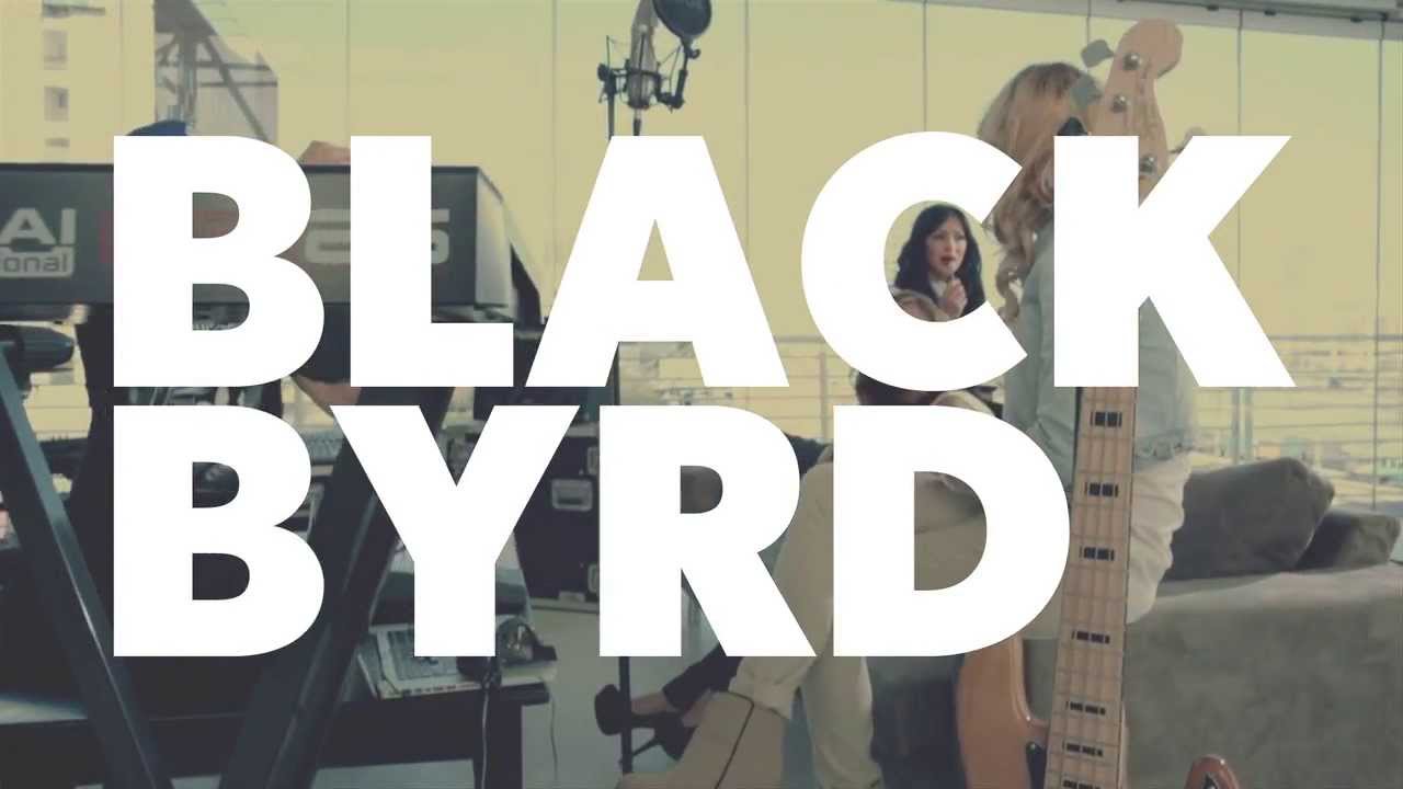 blackbyrd you shoot me down