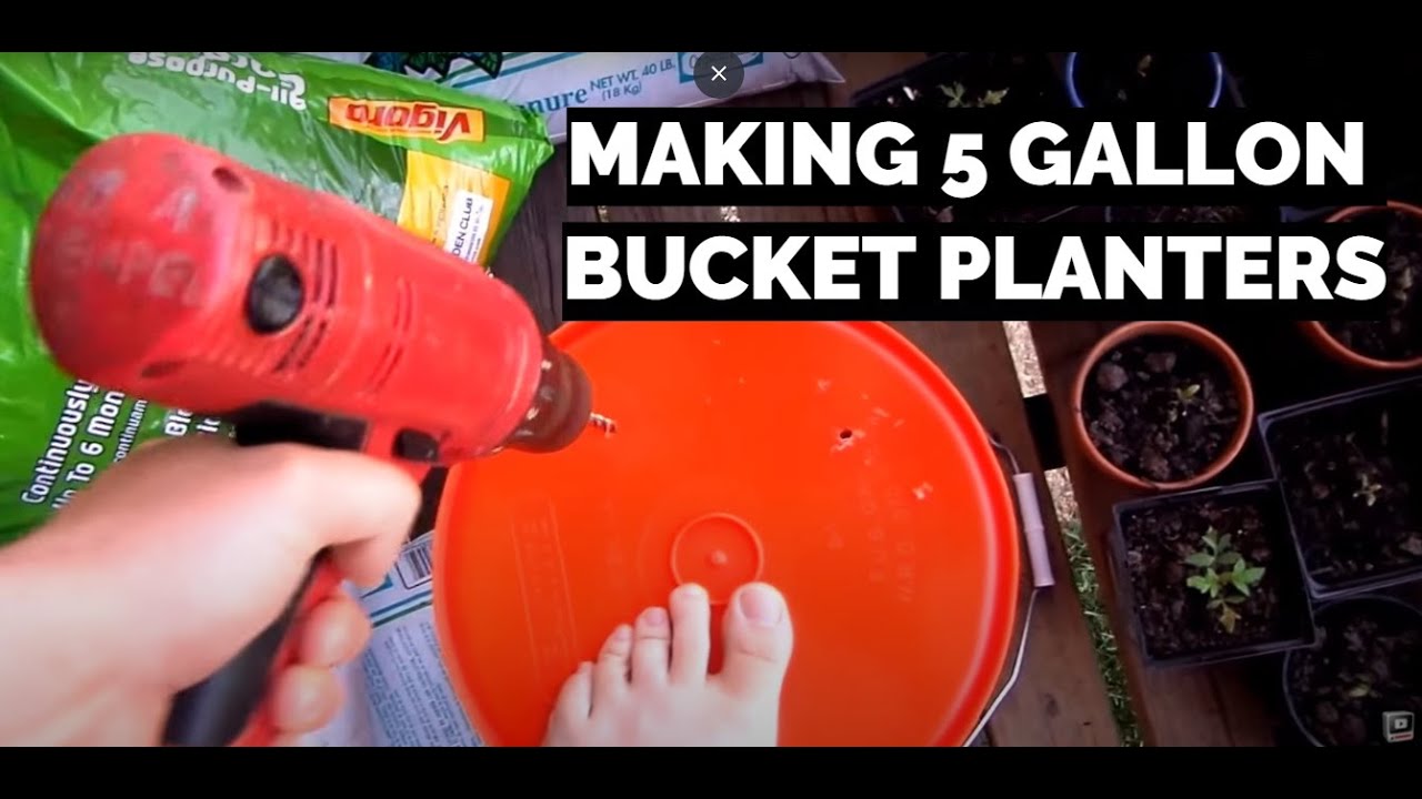 Apartment Balcony Gardening Diy Ix Making 5 Gallon Bucket