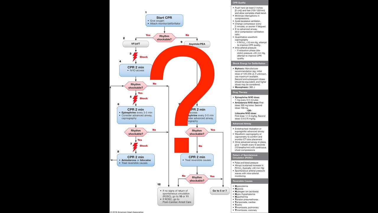 DiscussionS Episode 1: Refractory VFib with Dr. Alex Colgan