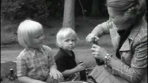 Terugblik op het leven van kroonprinses Beatrix (1980)