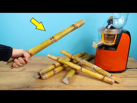 Видео: Можно ли положить сахарный тростник в соковыжималку?