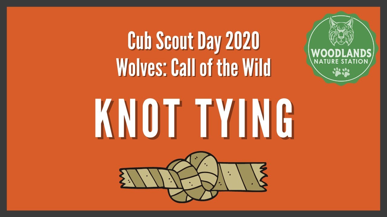 Knot Tying (Wolf Cubs Required) 