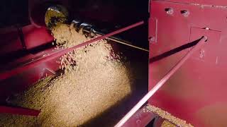 Case IH 1640 Night Harvest