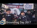 Groundhog day 2017