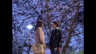 All about my romance