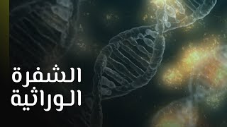 الشفرة الوراثية DNA