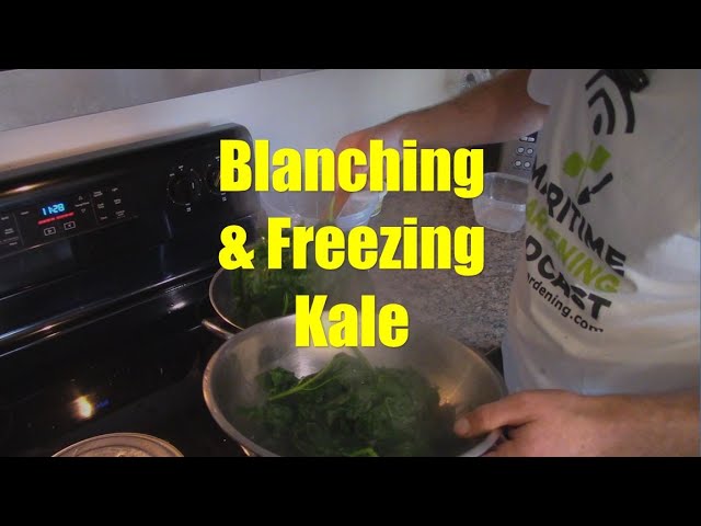 How to Freeze Kale (+ recipes for how to use it) - The Natural Nurturer