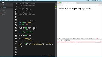 7.Variable Mutation and Type Coercion