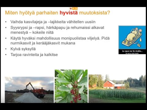 Video: Kuinka Venäjän Maatalouden Erikoistuminen Muuttuu
