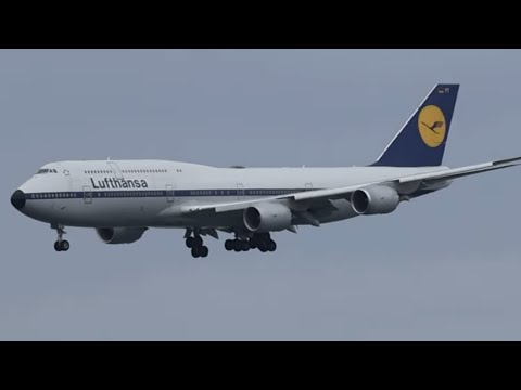 4 Heavy aircraft landing at San Francisco International Airport (SFO) [LUFTHANSA 747 RETRO LIVERY]