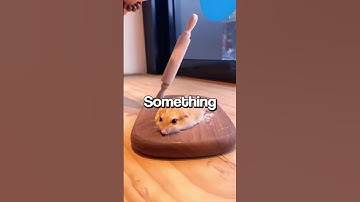 My wife threatened divorce if I didn