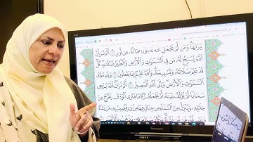 سورة النور آية ٤١-٤٢