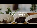 How to identify your soil type  grow at home  rhs