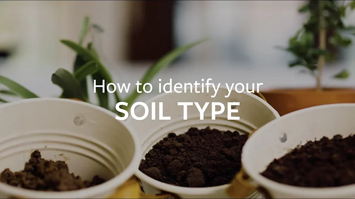 How to identify your soil type | Grow at Home | RHS