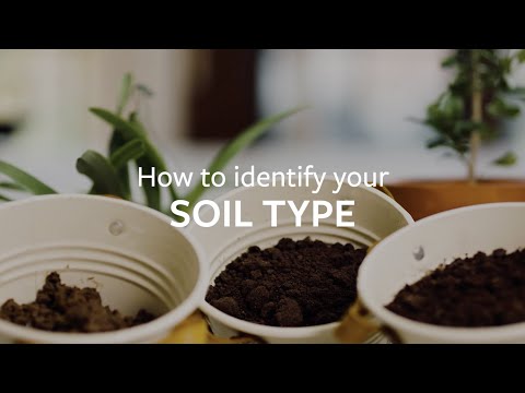 Video: How To Determine Soil Characteristics By Herbs And Flowers And Much More