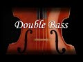 Double bass tuner  easy to use  plucking real double bass sound