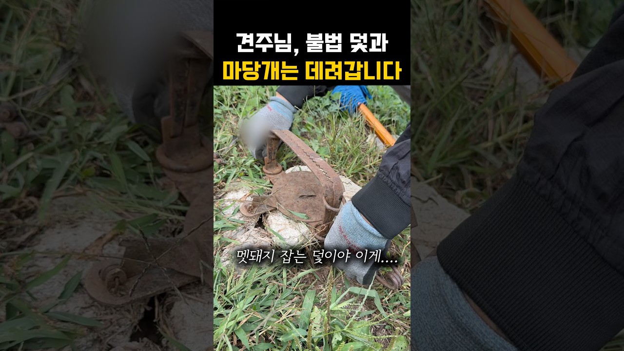 불법 덫과, 키우던 개는 저희가 데려가겠습니다