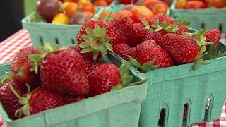 Ask the Expert- High School Nutrition