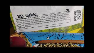 BARRY BONDS GELATO #25 - THCA SMALL BUDS - 28G - $36