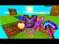 MINECRAFT SKYBLOCK MA I BLOCCHI SONO RANDOM OP