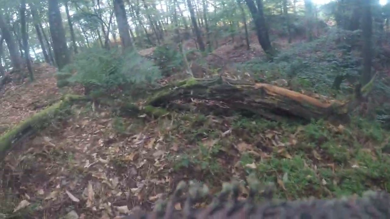 airsoft Millénium : (T.A.S) trailer terrain carry wood