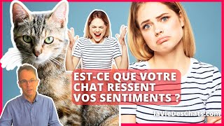 ESTCE QUE VOTRE CHAT RESSENT VOS SENTIMENTS ?