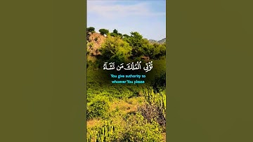 تلاوة خاشعة قرأن كريم تخشع له القلوب #elmulquranعلم #تلاوة #قران_كريم #المصحف #اكسبلور #trend