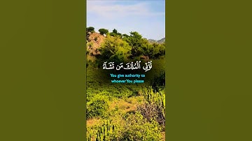 تلاوة خاشعة قرأن كريم تخشع له القلوب #elmulquranعلم #تلاوة #قران_كريم #المصحف #اكسبلور #trend