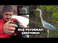 Kuş Fotoğrafı Çekiyoruz - Bird Photography From the Car