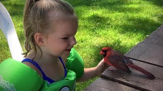 Three-year-old bird whisperer